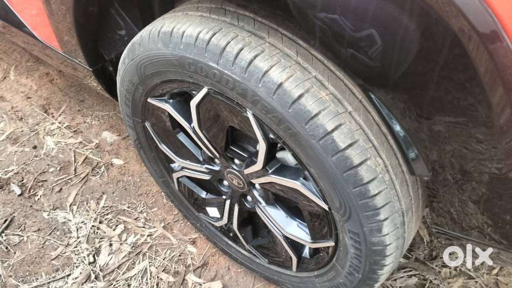 Tata Curvv Accomplished Plus A 1.5 Kryojet Diesel 6mt, 2024, Diesel