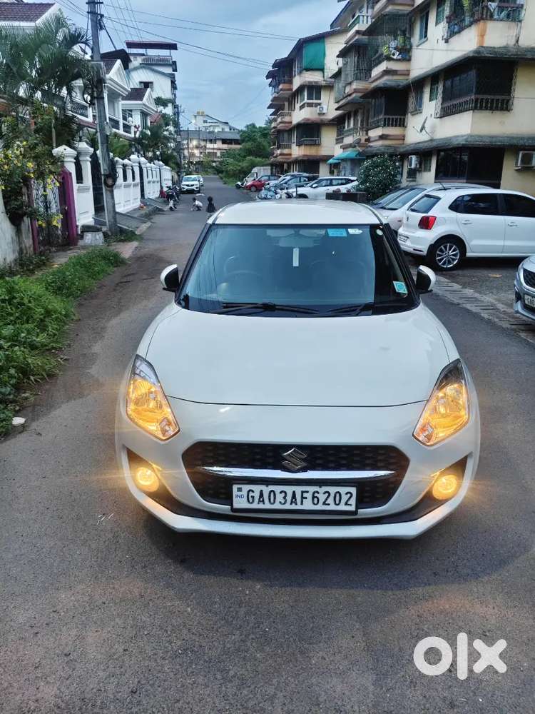 Swift 2024 (2 Year Old)