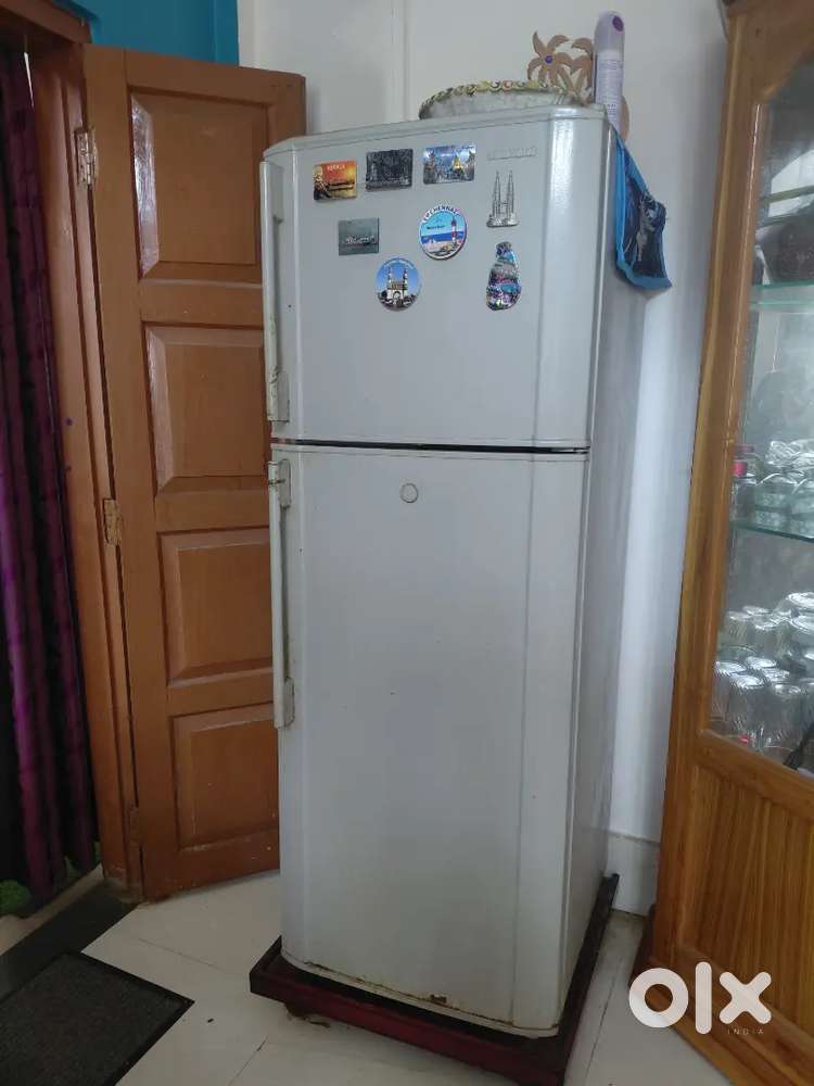 Samsung Fridge