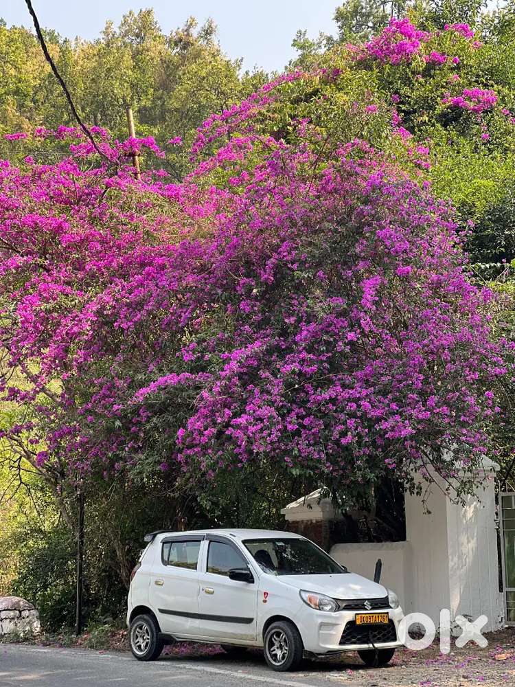 Gadi Mein Koi Kam Nahi Hai Gadi Bilkul Mst Hai