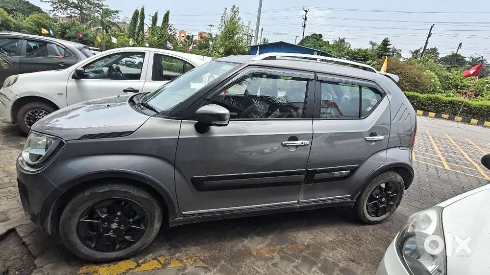 Maruti Suzuki Ignis Jan 2025 Registration Petrol 11000 Km Driven