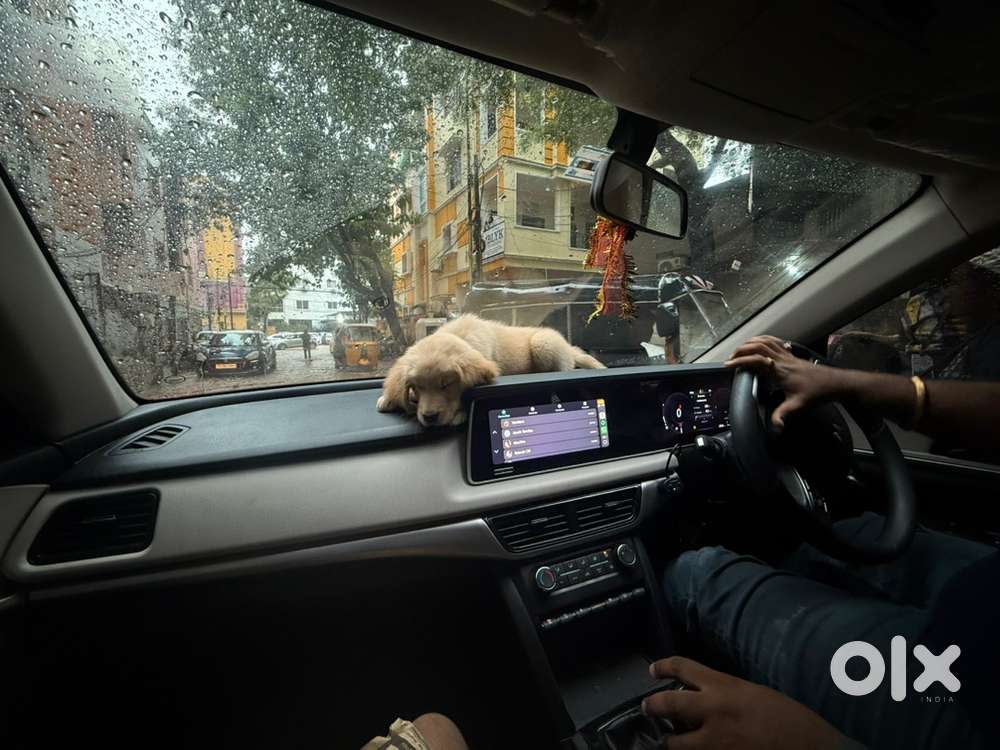 Mahindra Xuv700 Diesel 2023
