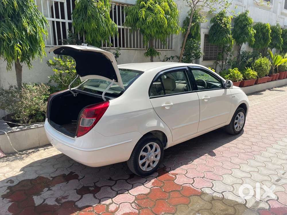 Tata Petrol Car 2010