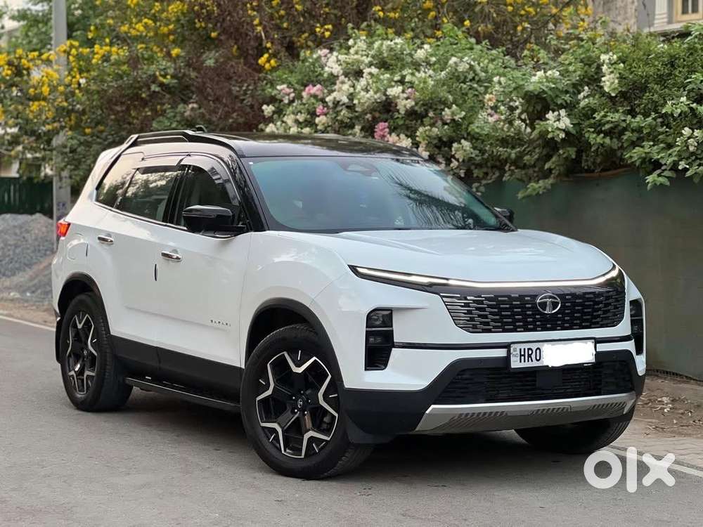 Tata Safari 2024 Diesel Well Maintained