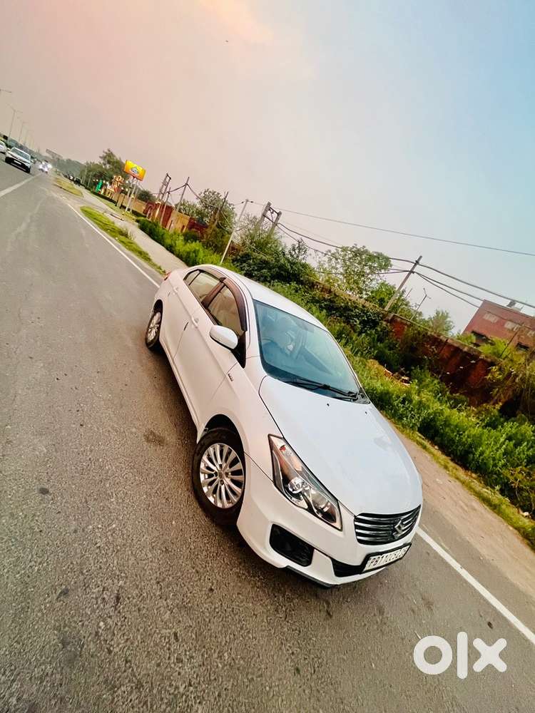 2016 Maruti Suzuki Diesel Manual