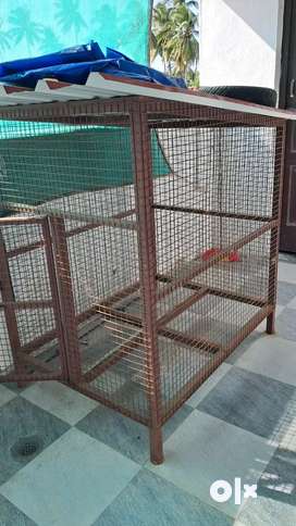 Dog cages olx hotsell