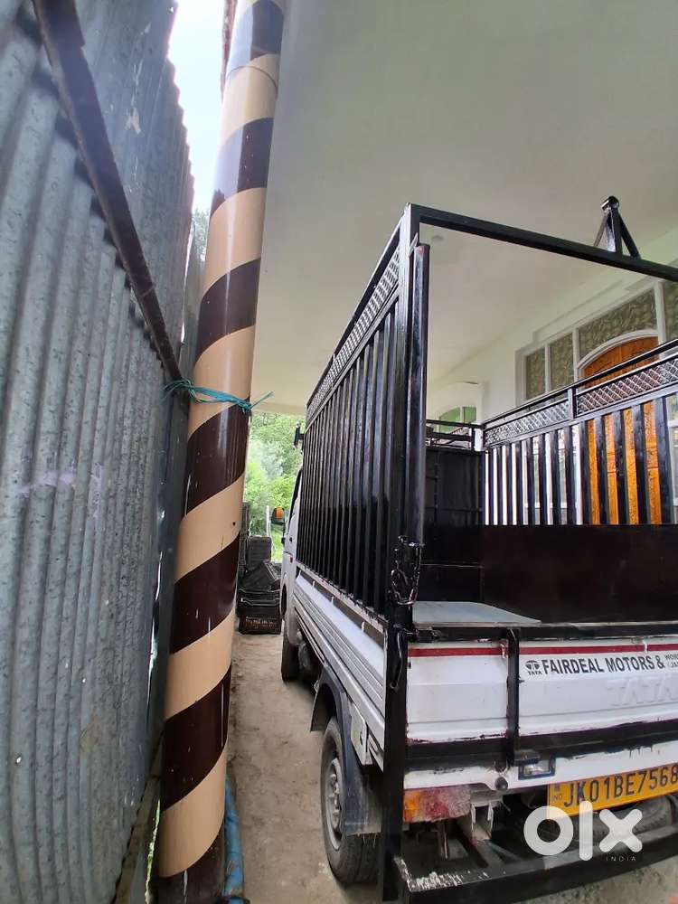 Tata Ace Gold Petrol