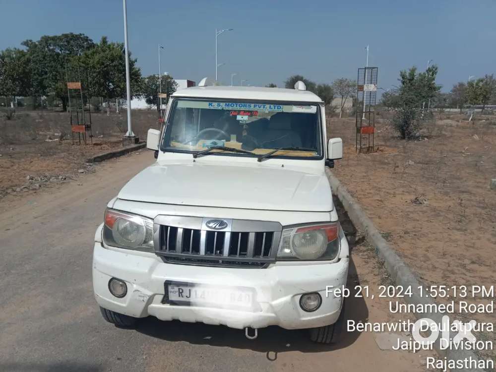 Non Exidental Original Pant