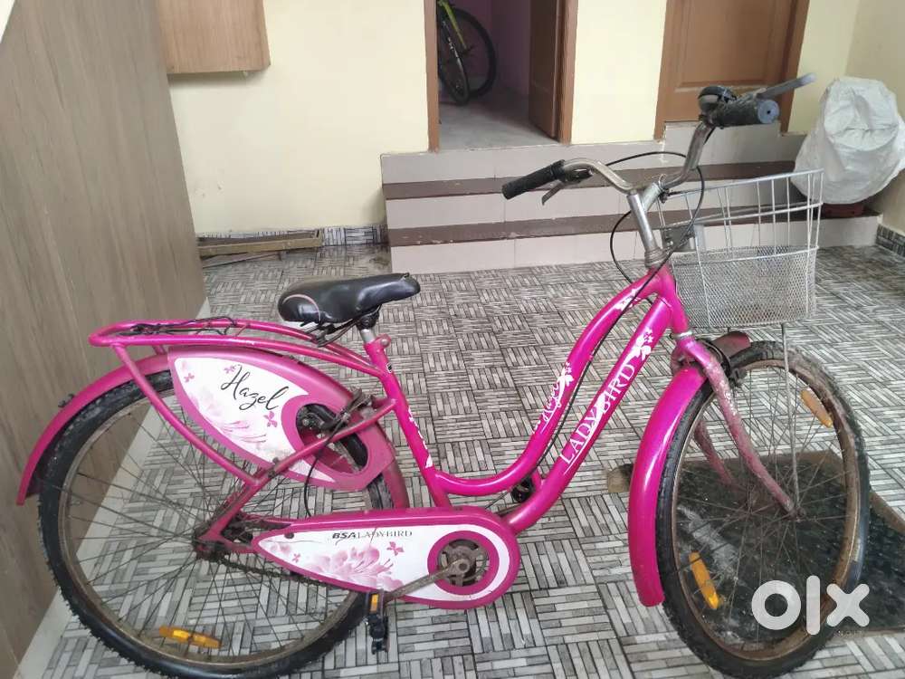 Pink lady 2024 bird cycle price