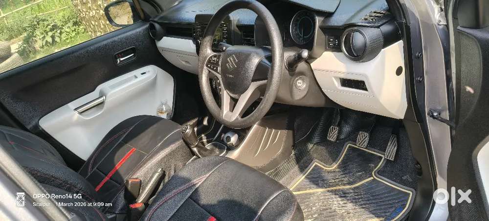 Igins Petrol 2019 Sigma