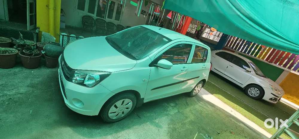 Maruti Suzuki Celerio 2016 Petrol Well Maintained