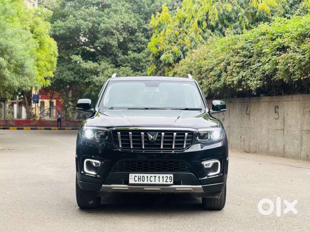 Mahindra Scorpio-n 2.0 Z8 L Petrol Mt 7 Str, 2024, Petrol