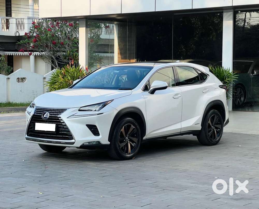 Lexus Nx Lexus-nx-300h-luxury, 2020, Petrol