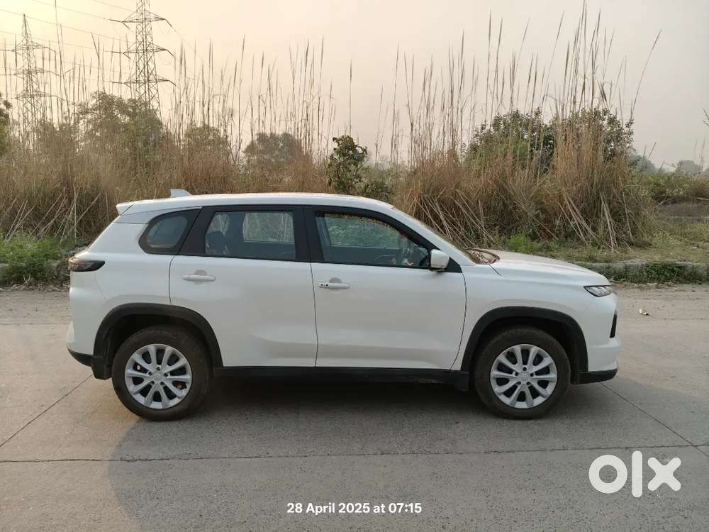 Maruti Suzuki Grand Vitara 2024 Petrol 3323 Km Driven