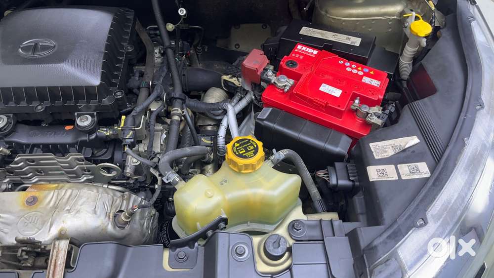 Tata Nexon 1.5 Revotorq Xza Plus Kaziranga, 2022, Petrol