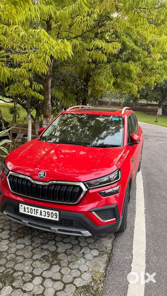 2022 Skoda Kushaq Petrol Year