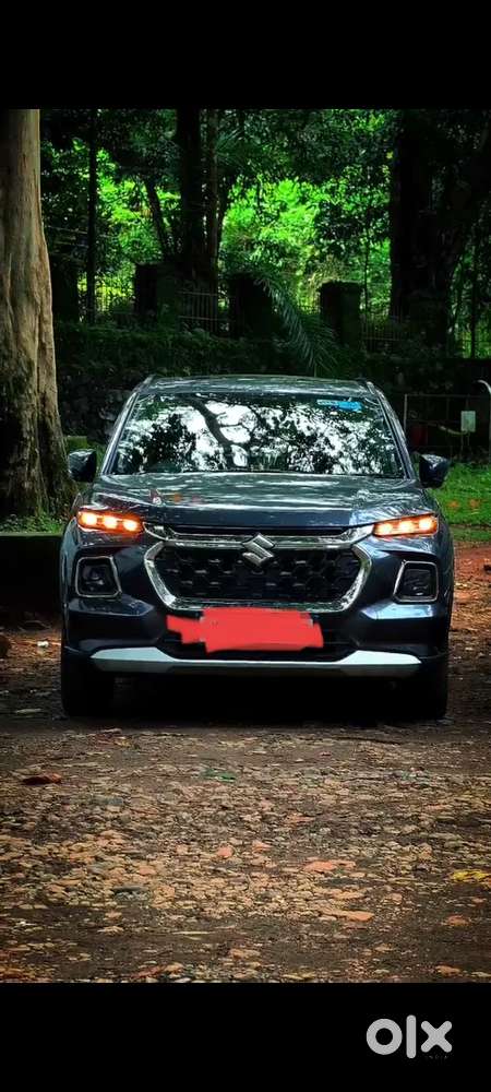 Maruti Suzuki Grand Vitara 2024 Petrol 24000 Km Driven