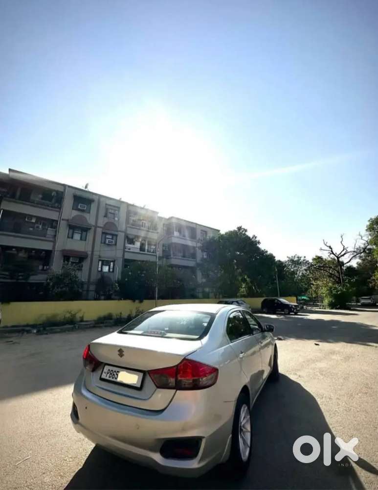 Maruti Suzuki Ciaz Zdi 2015 Diesel Car