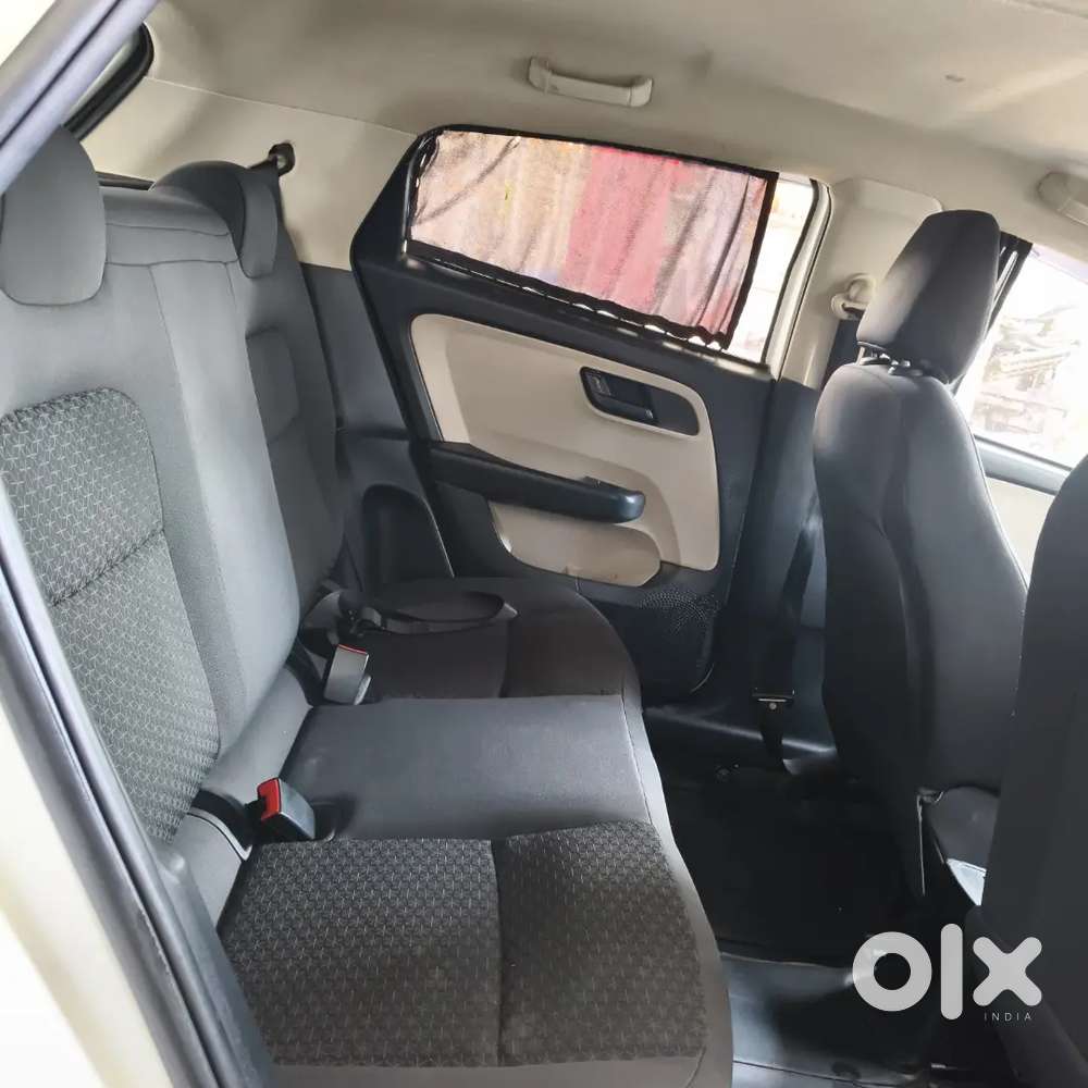 Tata Ultra Petrol Variant