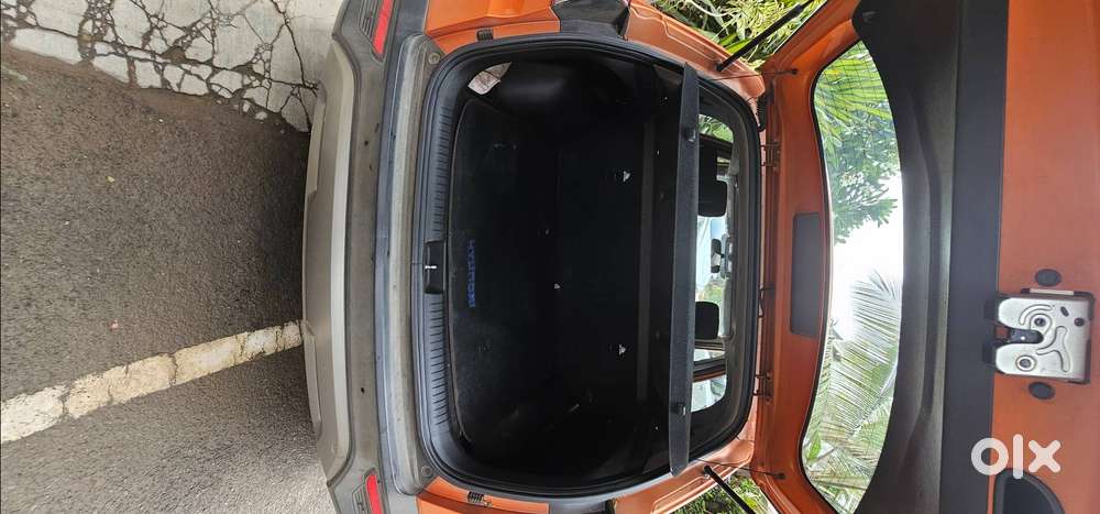 Orange Colored
