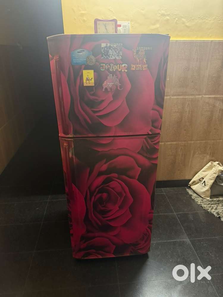 Samsung Double Door Refrigerator