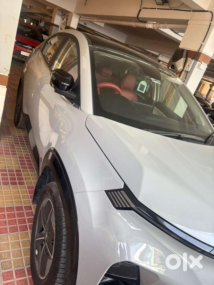 2025 Tata Electric 2025