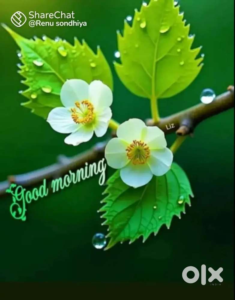 Today Sharechat Good Morning Morning Images Share Chat Tamil Funny