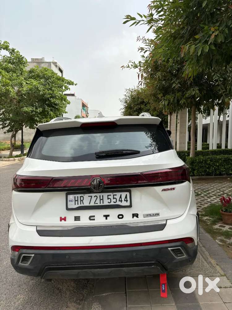 Mg Hector 1.5 Shine Turbo 2024