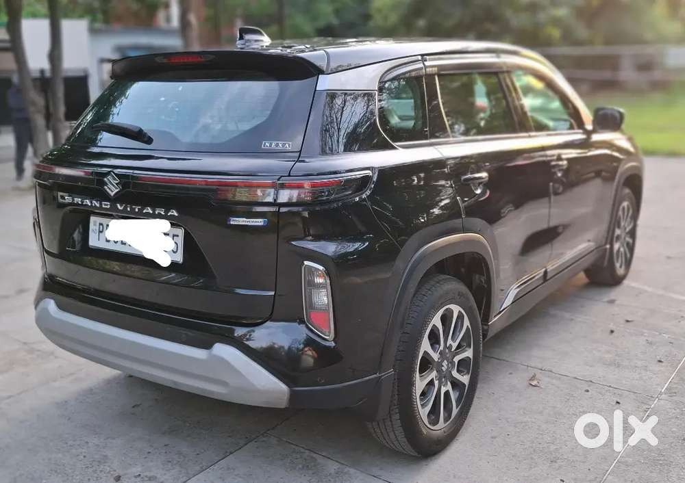 Maruti Suzuki Grand Vitara 2023 Petrol 49000 Km Driven