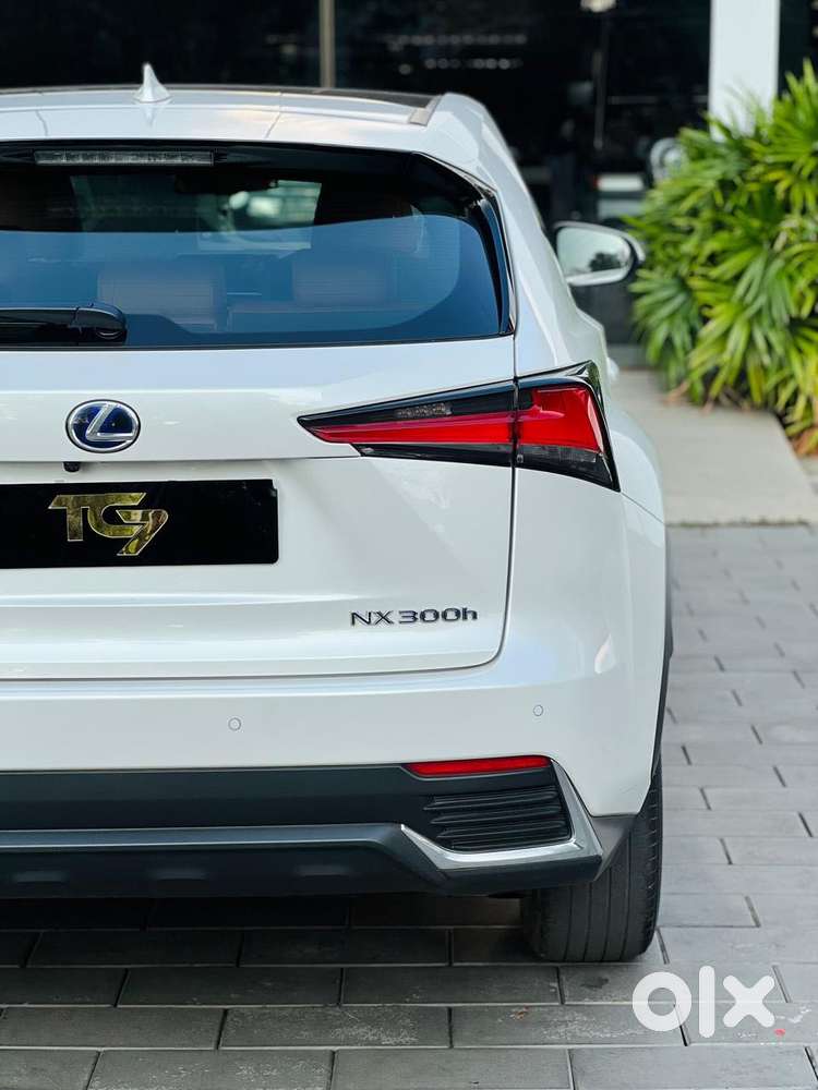 Lexus Nx Lexus-nx-300h-luxury, 2020, Cng & Hybrids