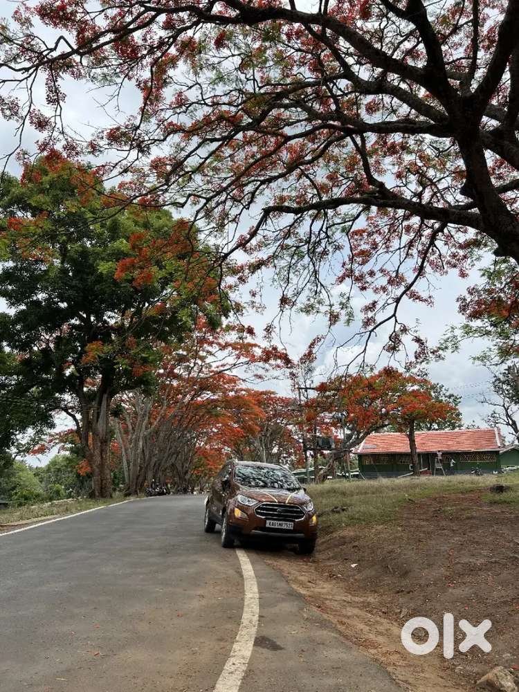 Ford Ecosport Titanium 2018 Petrol  Low Kms (34.4k)  Ka01