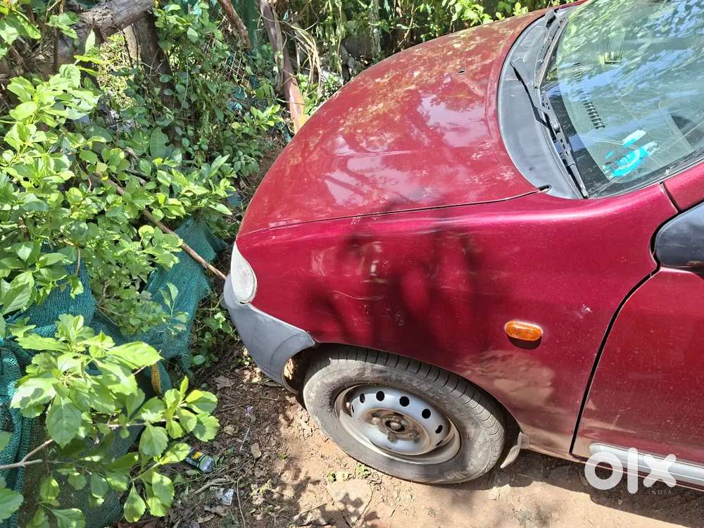 Bay New Car