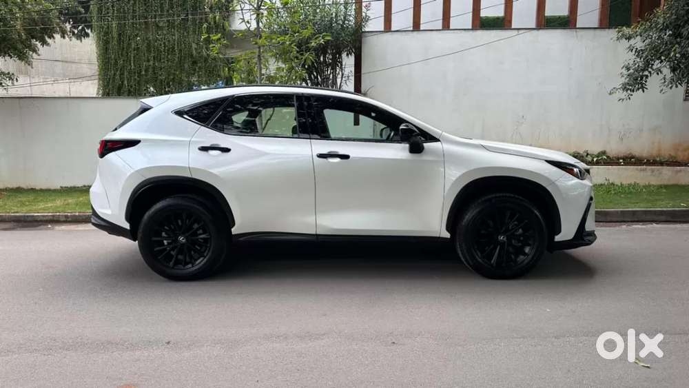 Lexus Nx, 2024, Petrol