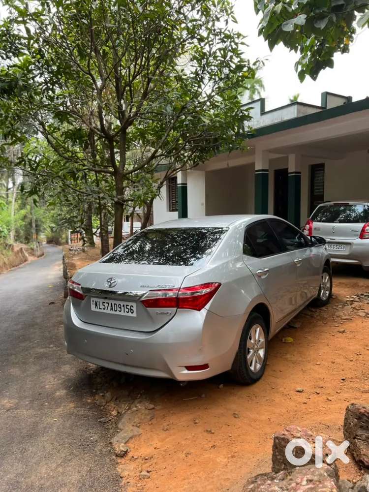 Full Company Service