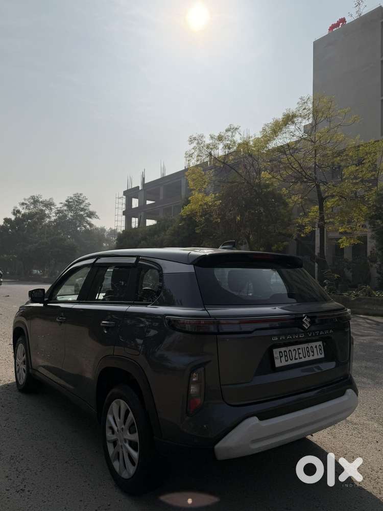 Maruti Suzuki Grand Vitara 1.5 Delta Smart Hybrid, 2024, Petrol