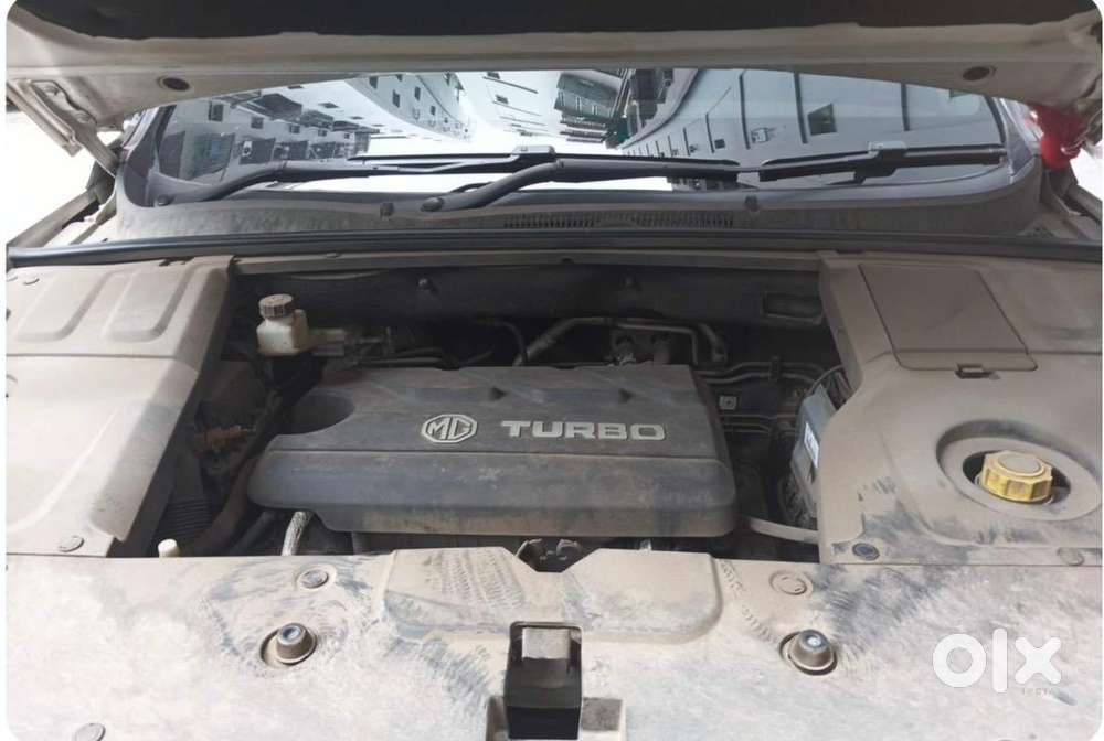 Mg Savvy Pro Automatic 2024