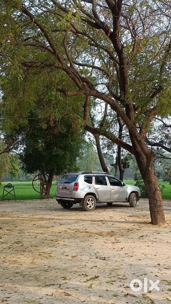 Renault Duster Diesel 2013