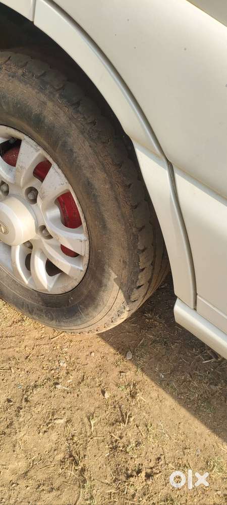 Vip Nomber. Panta 5 ( Mp 05 Mg 5555)