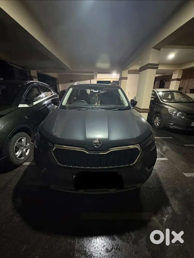 Skoda Kushaq 2023 Petrol Well Maintained