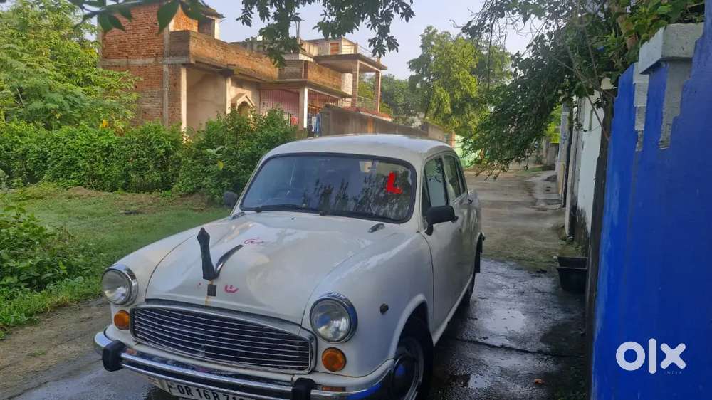 Ambassador 2007 Classic Dsz- Vintage