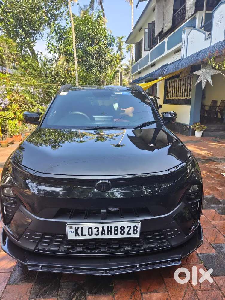 Tata Nexon 2025 Petrol Well Maintained