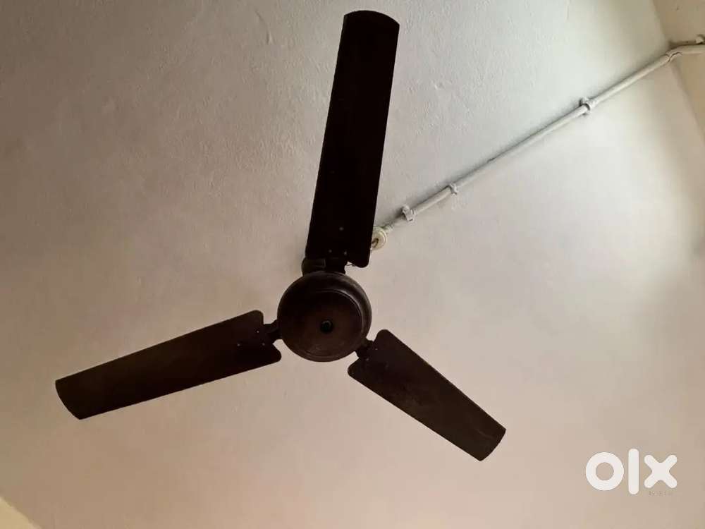 Ceiling fan