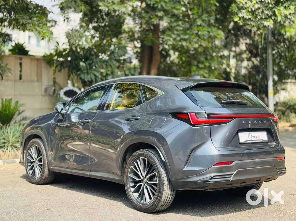 Lexus Nx 350h Luxury, 2024, Petrol