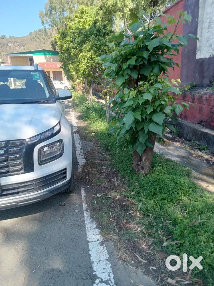 Hyundai Venue 2025 Petrol 3000 Km Driven
