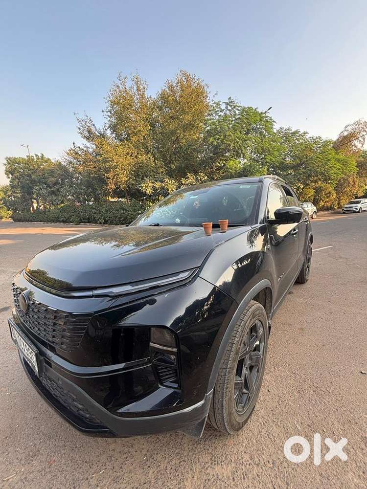 Excellent Condition No Accident