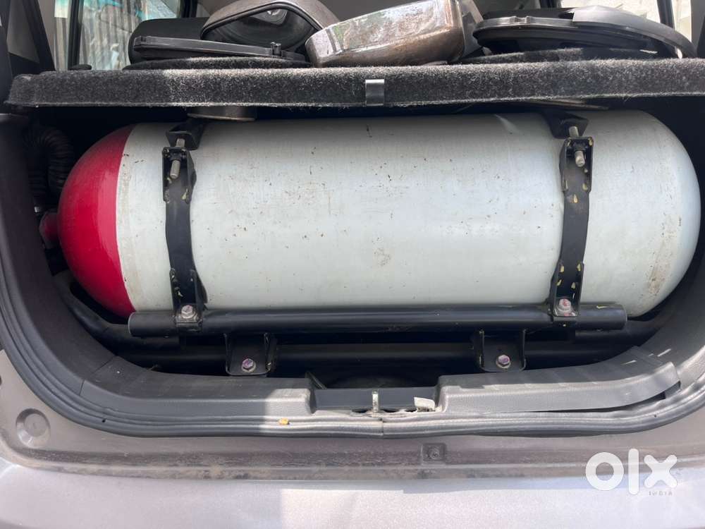 Maruti Suzuki Wagon R 2013