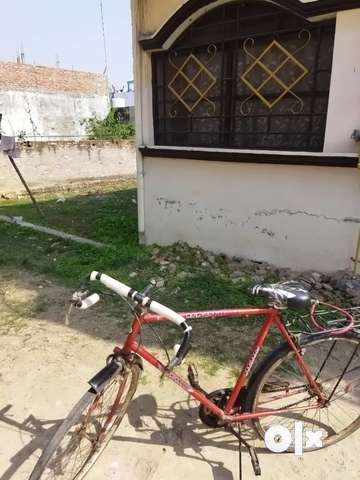 Olx road bicycles on sale