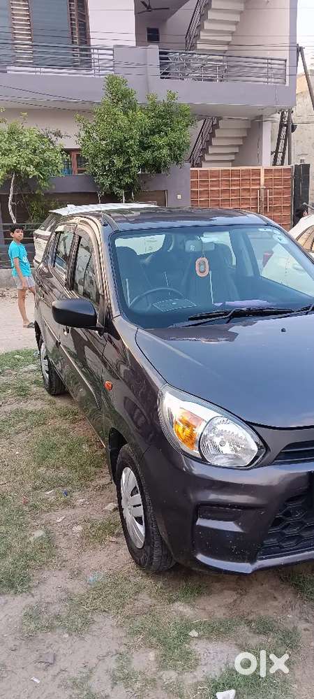 Maruti Suzuki Alto 800 - 2023