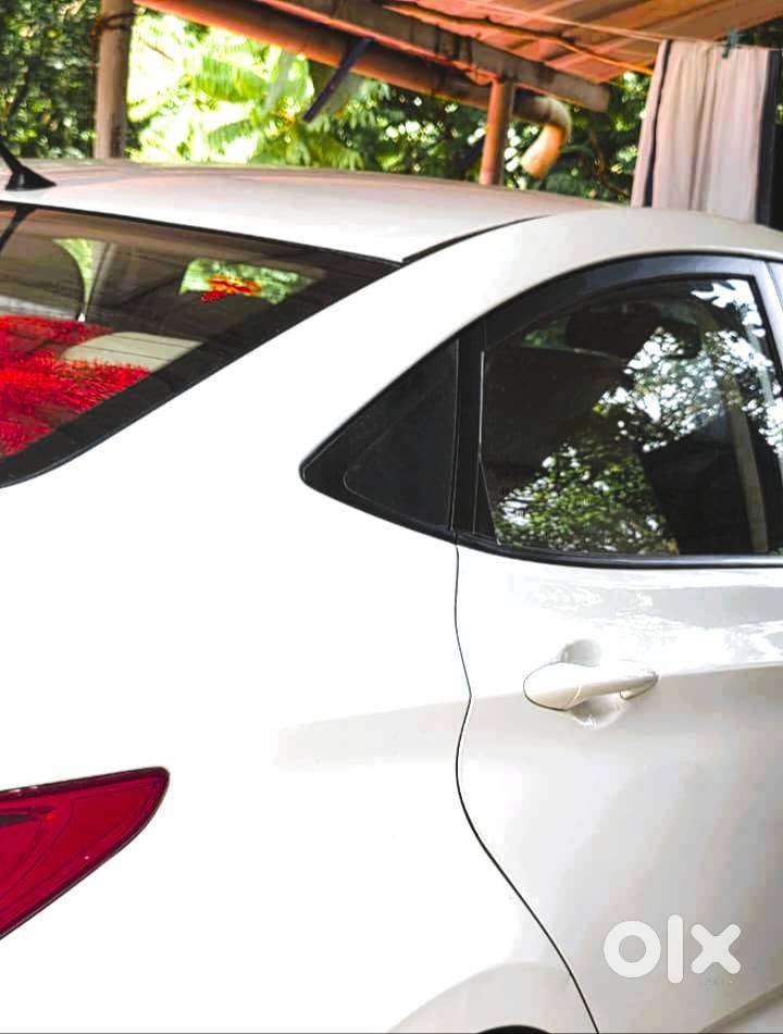 Rarely Used Fluidic Verna