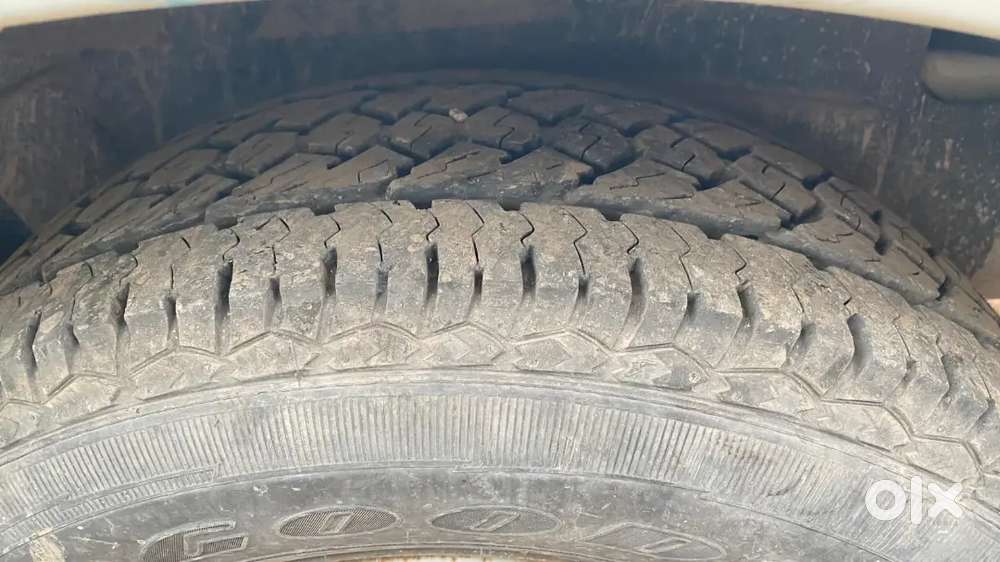 Tata Safari Decor